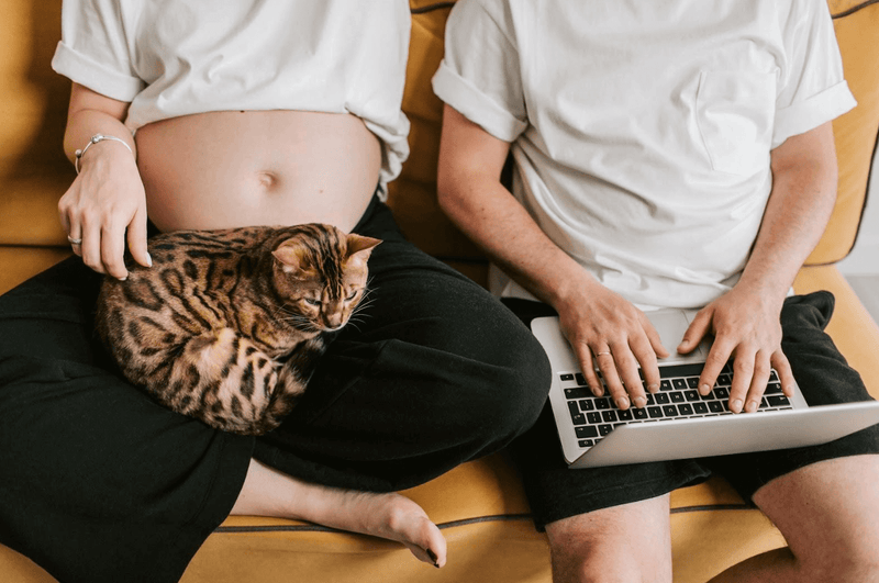 Pregnant person relaxing on a couch with a cat and a partner typing on a laptop.