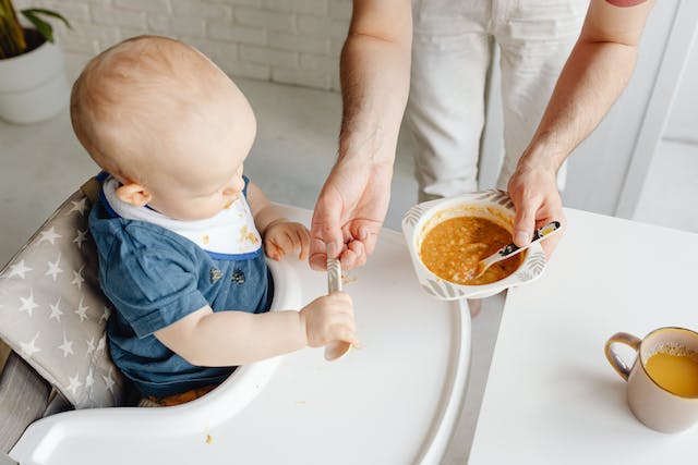 Baby-Led Weaning vs Purees